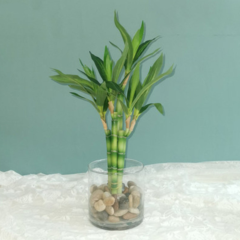 Desk Setup Plants - Yeni 40cm Yapay Şanslı Bambu Sukulent