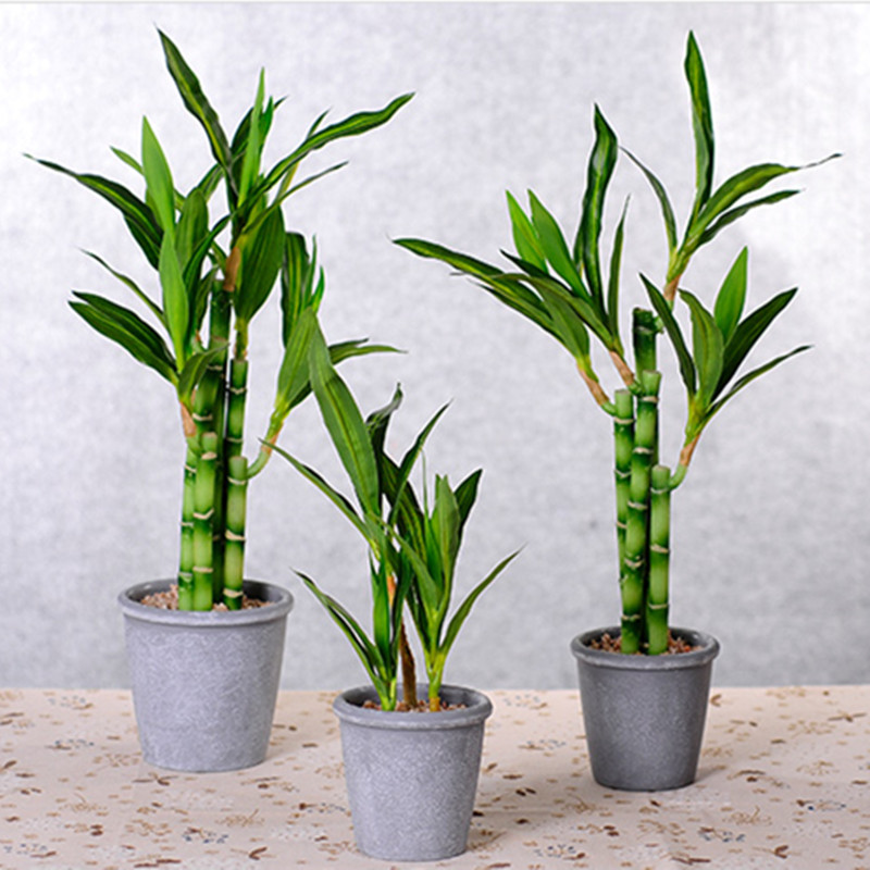 Yeni 40cm Yapay Şanslı Bambu S - Desk Setup Plants incelemesi ve fiyatı
