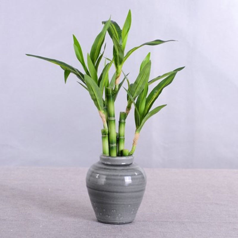 Yeni 40cm Yapay Şanslı Bambu S - Desk Setup Plants incelemesi ve fiyatı