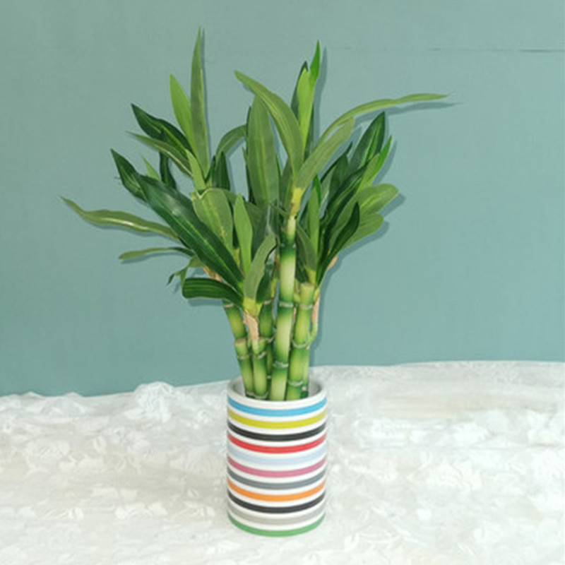 Yeni 40cm Yapay Şanslı Bambu S - Desk Setup Plants incelemesi ve fiyatı